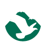 American Park Network